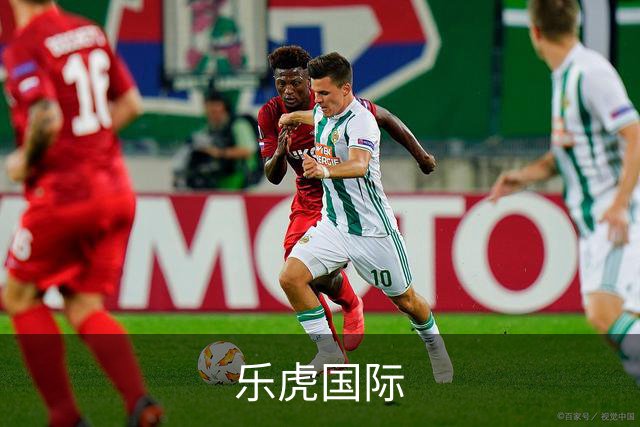 关于乐虎国际